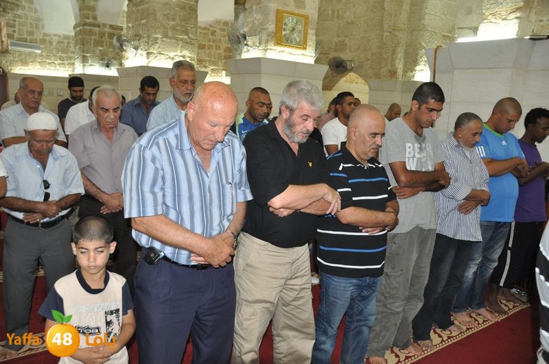 mohadaraa lud kaver 803 (15).JPG